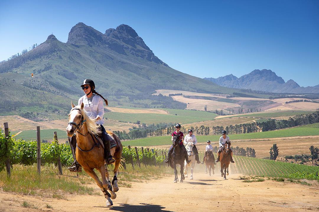 Cape Winelands Riding