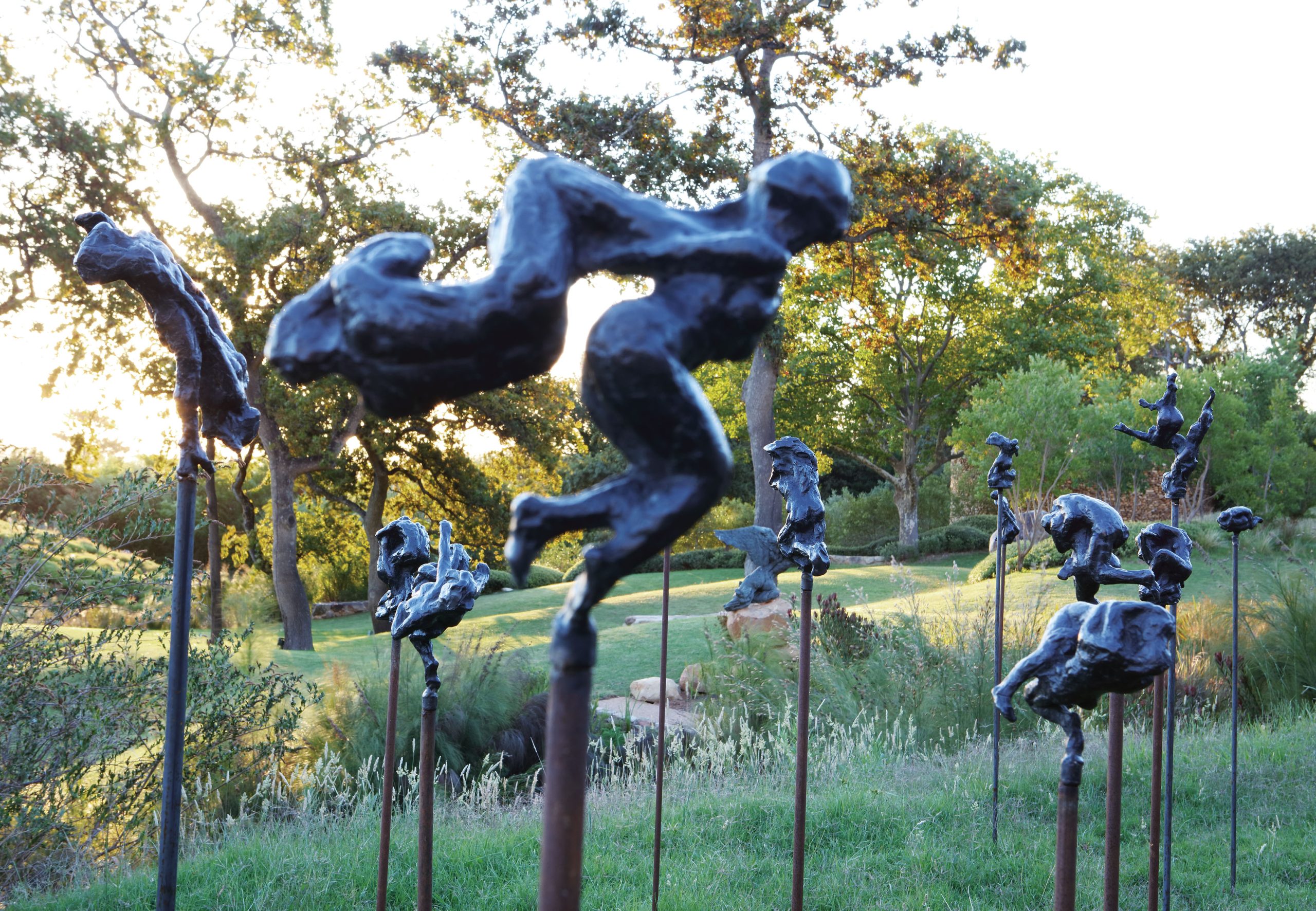 Dylan Lewis Sculpture Garden