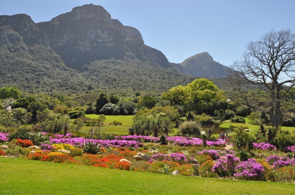 Kirstenbosch Botanical Gardens Kirstenbosch Botanical Gardens Kirstenbosch Botanical Gardens Kirstenbosch Botanical Gardens